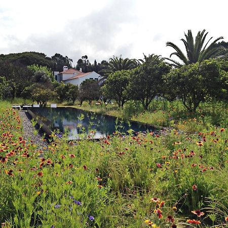 Villa Quinta Do Miguel Aldeia do Meco Esterno foto