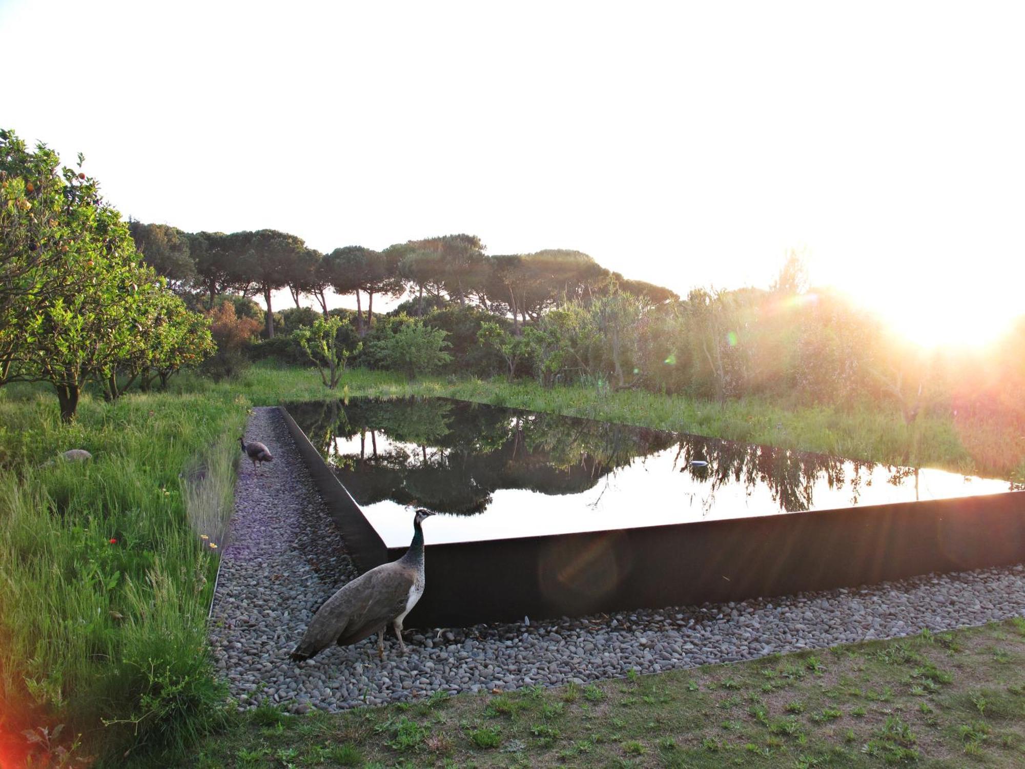 Villa Quinta Do Miguel Aldeia do Meco Esterno foto