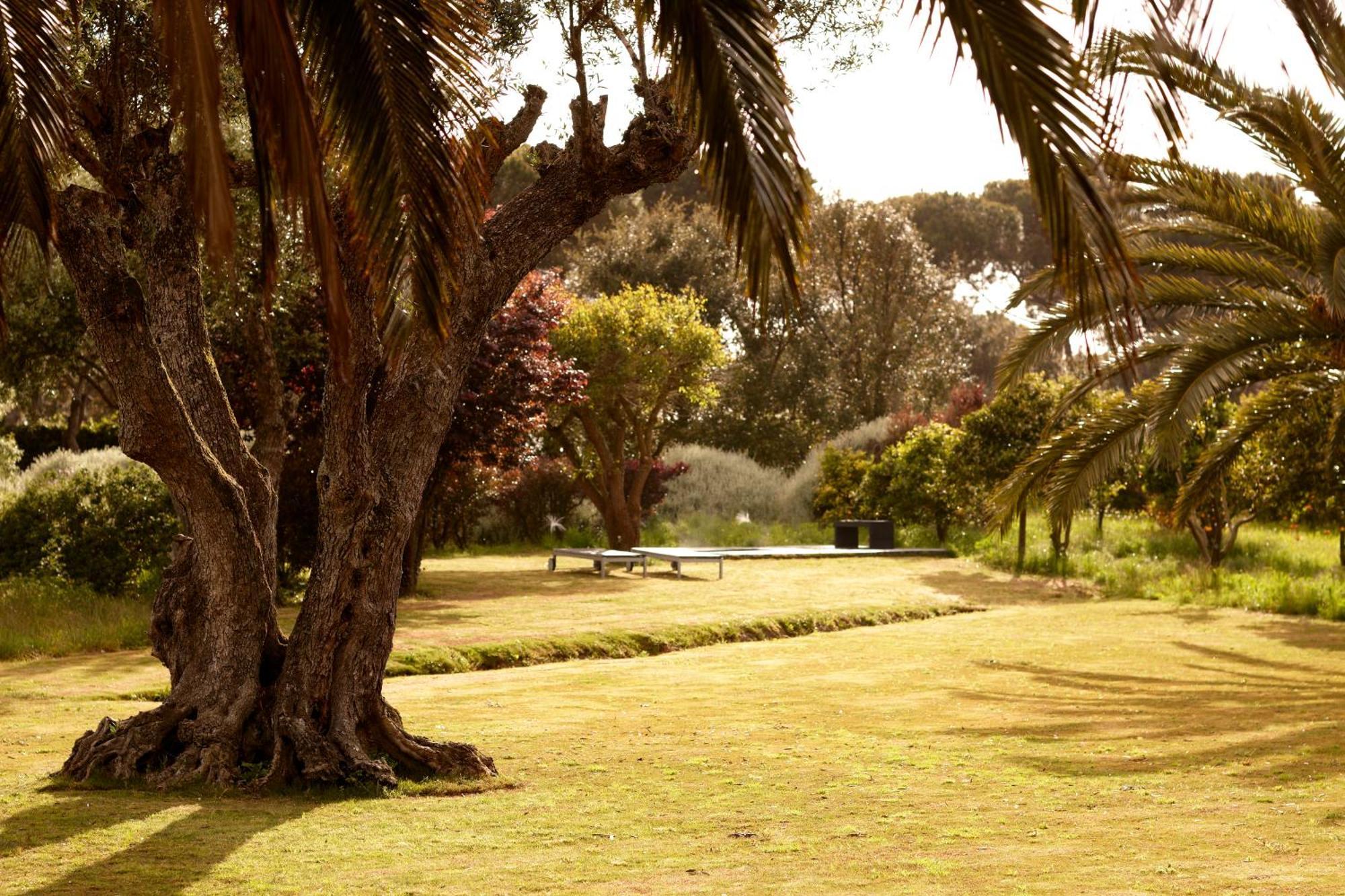 Villa Quinta Do Miguel Aldeia do Meco Esterno foto